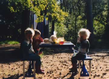 plaatje