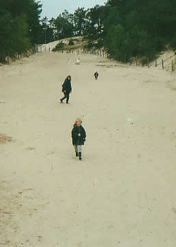 hoge duin