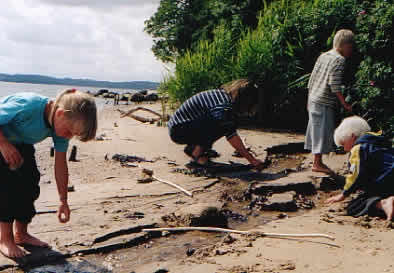 plaatje