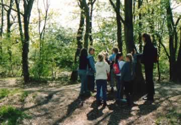 plaatje