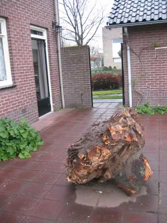 plaatje