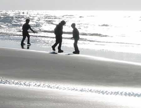 strand