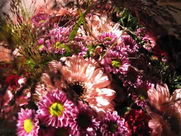 bloemen voor bang mannetje