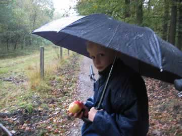 auke onder paraplu