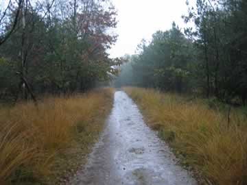 wandelen door de regen