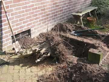 Het stompje