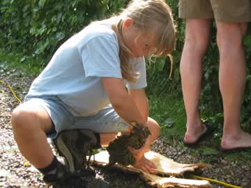 anna scoort hout
