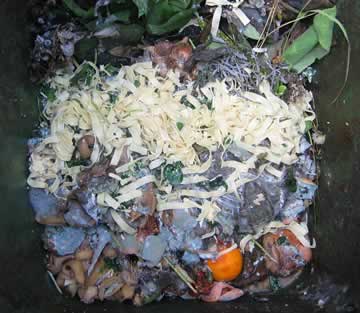 vieze tagliatella