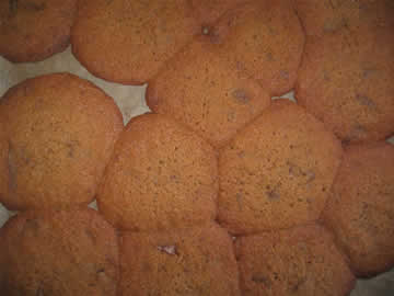 koekjes