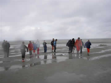 strand
