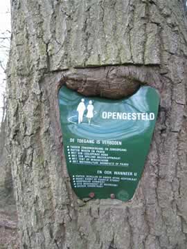 toegansgsbord