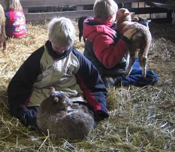 auke en koen