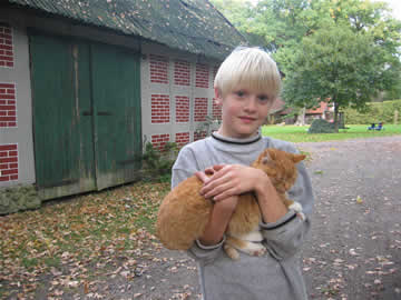 auke met streepje
