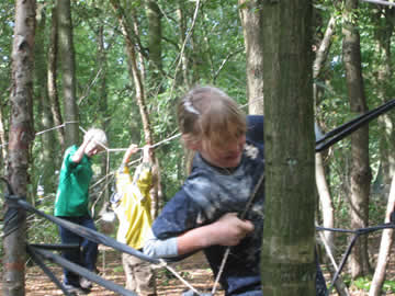 door het bos