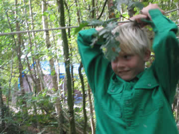door het bos