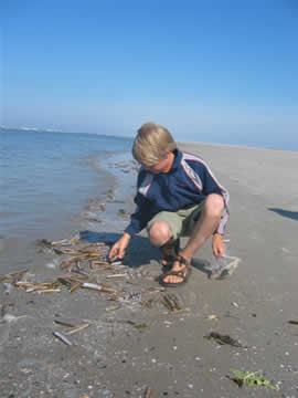koen