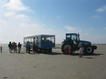 trekker op balg