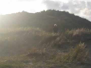 duinwandeling