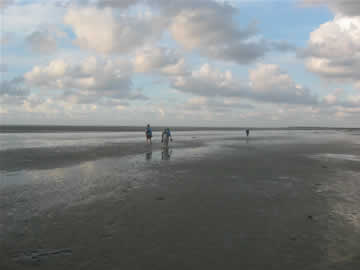 duinwandeling