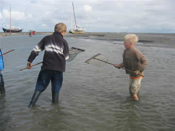auke en koen vanggen krabben