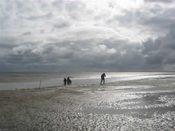 het wijde wad
