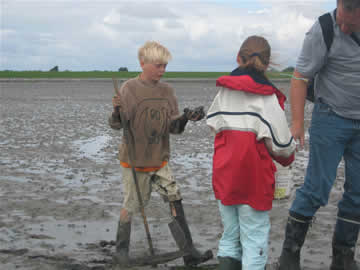 laten zien