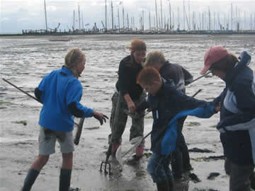 in het net