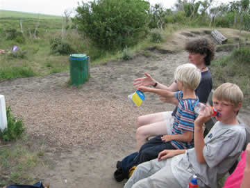 kobbeduinen