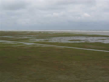 het groene strand