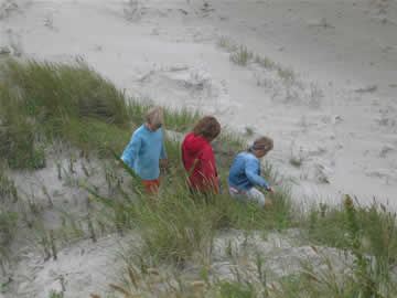 koen, mare en anna
