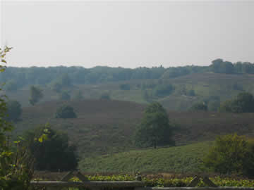 posbank