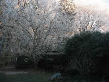 witte kerst