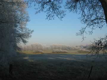 witte kerst