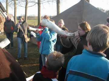 naar de middeleeuwen
