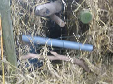 strohut