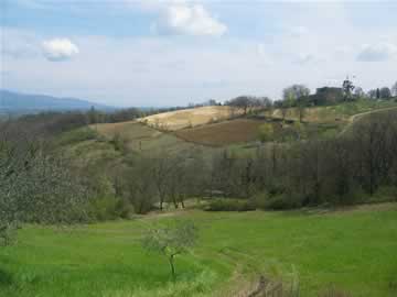caqsanuevo