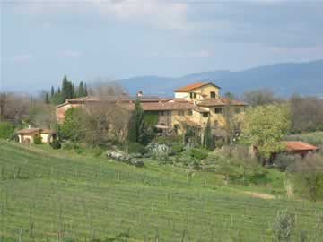 caqsanuevo