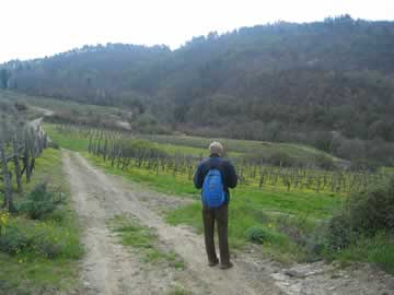 wandelen