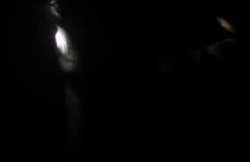 escape