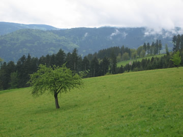 dag 4