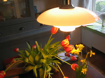 lamp