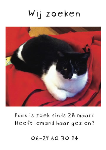 Puk weg