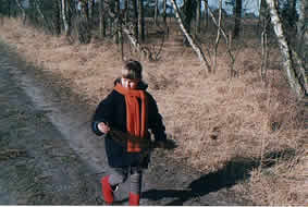 plaatje