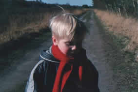 plaatje