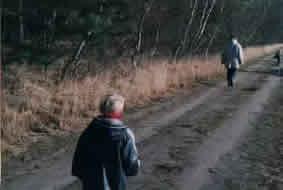 plaatje