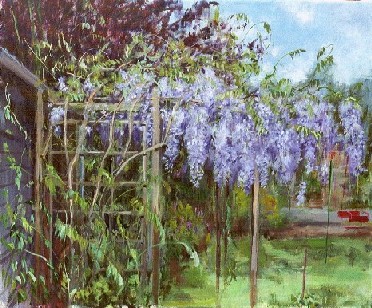 blauwe regen