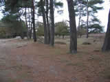 Gasterse duinen