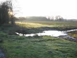 Heest
