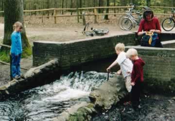plaatje