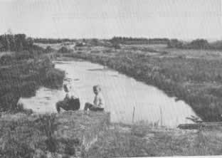 plaatje
